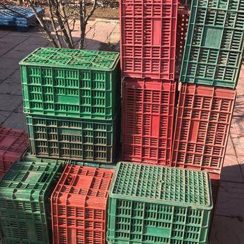 王恒峰 專注食用農產品批發的誠信供應商