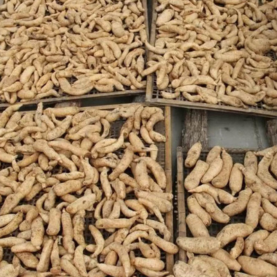 寧陜特產香菇干 從農家餐桌到畜牧漁業的多重價值