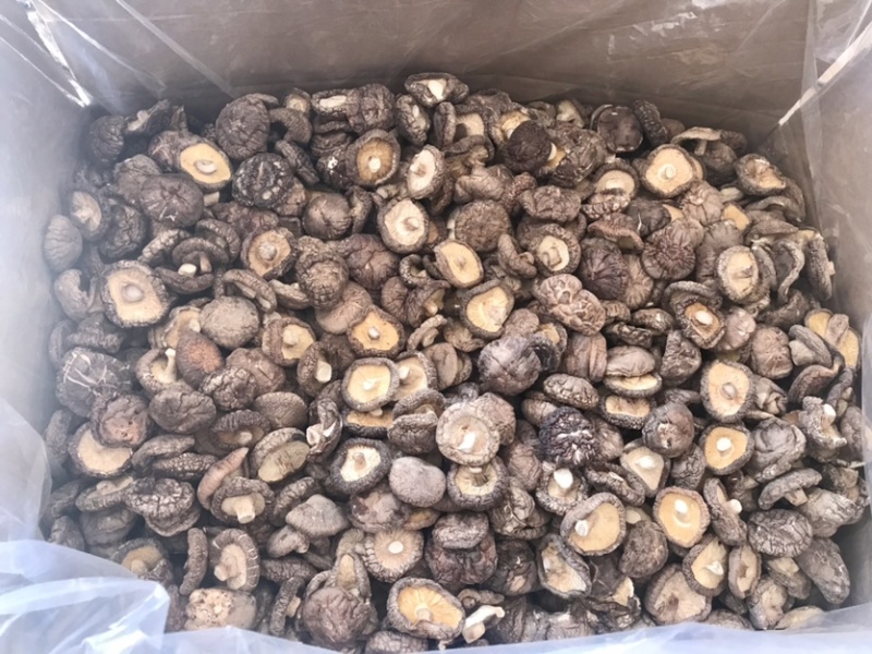 河南泌陽干香菇批發市場探析 品質與價格的平衡點