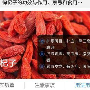 深耕源頭，服務終端 雷棟梁的農產品批發供應之路